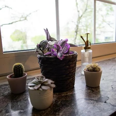 Apartment Casa Gargolas *