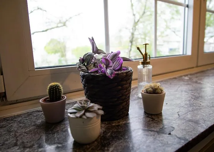 Apartment Casa Gargolas *